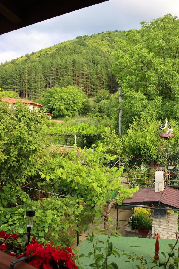 Green House - Попниколови Szapareva Banja Kültér fotó