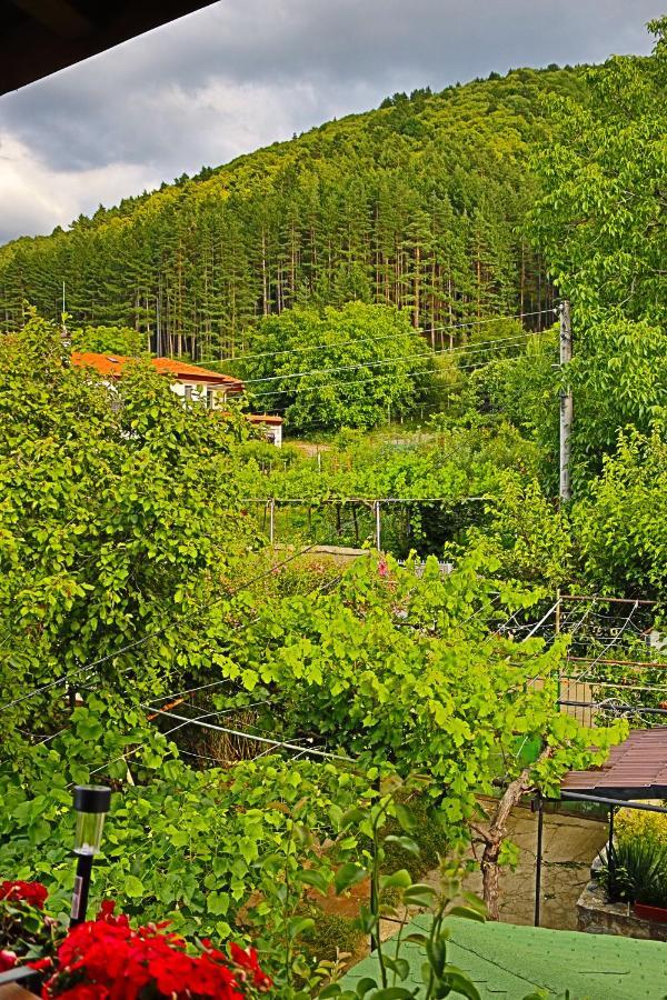 Green House - Попниколови Szapareva Banja Kültér fotó